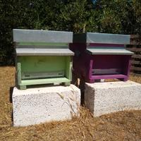 Kit di avviamento per apicoltore