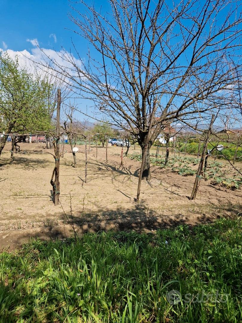 Terreno agricolo - Vista 2