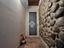 Immagine 15