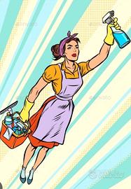 Pulizie domestiche ed uffici