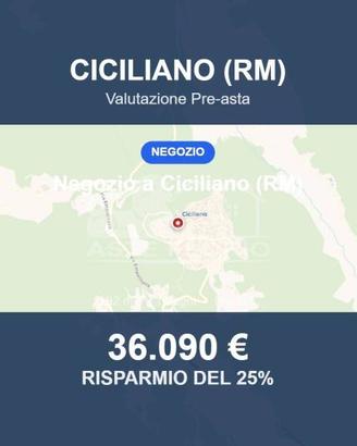 Immobile in asta di 102 m² a Ciciliano
