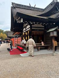 amplificatore roland jezz courus20