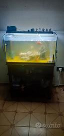 Acquario di 100 LT completo di mobiletto a due rip