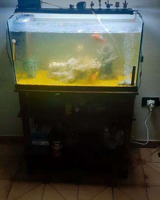 Acquario di 100 LT completo di mobiletto a due rip