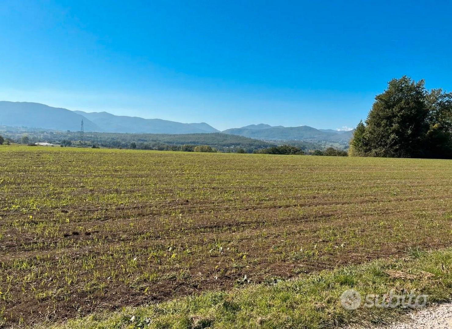 Terreno tre ettari - Vista 3