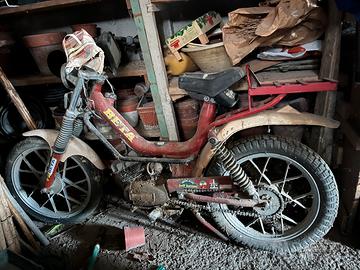 Motorino Beta