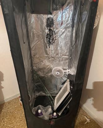 Kit Indoor 60x60x1.60 Grow Box LED Filtro Plagron