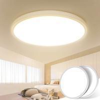 2 Pezzi Plafoniera LED 24W 8.7Inch/22CM Lampade 40