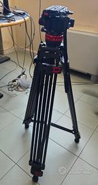 Treppiede Video Neweer TP75