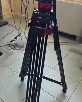 Treppiede Video Neweer TP75