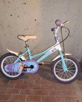 Bici frozen