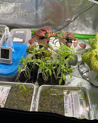 Grow Tent 60x60x120