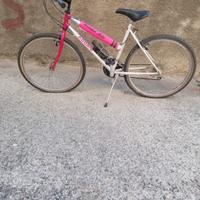 Mtb dona 26