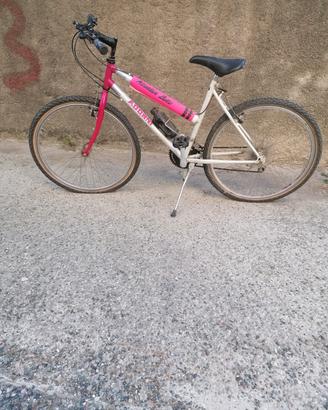 Mtb dona 26