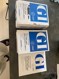 GI Vocabolario di greco dizionario