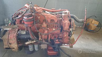 Motore iveco 115.17 / 135.17 | 145.17 (8060.25)