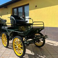 Carrozza Marathon (12)