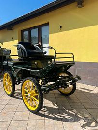 Carrozza Marathon (12)