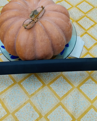 Barra longitudinale corrimano per FIAT Panda 03-10