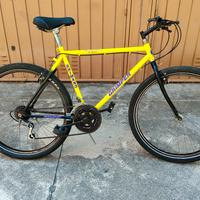 MTB 26 gialla e nera