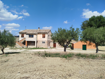 Casale vista mare e Conero