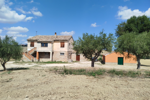 Casale vista mare e Conero