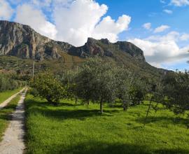 Terreno agricolo