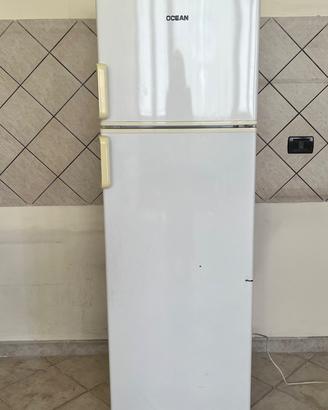 Frigo