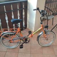 Bicicletta pieghevole da 20"