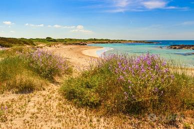 Vacanza 80m dal mare Salento a settembre