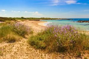 Vacanza 80m dal mare Salento a settembre