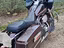 Immagine 6