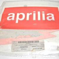 DECALCO-SERIE CODONE RS 125 APRILIA AP8167646