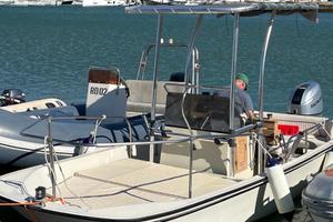Boston Whaler Montauk 17