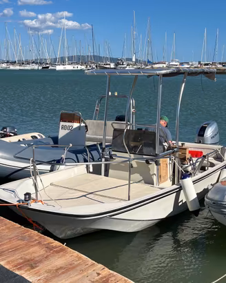 Boston Whaler Montauk 17