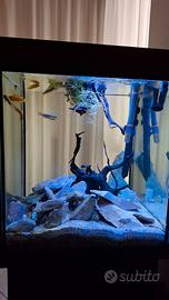 Acquario Wave