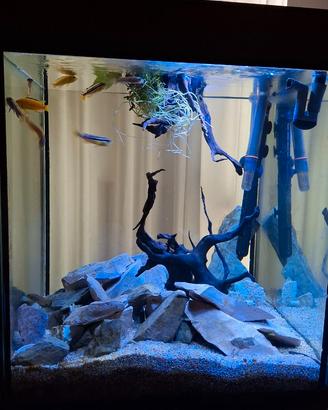 Acquario Wave