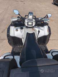 Quad polaris