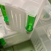 Trasportino Tino 6 secondino