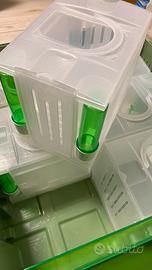 Trasportino Tino 6 secondino