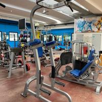 Fitness Tree sbarra e parallele