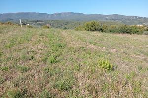 Terreno agricolo