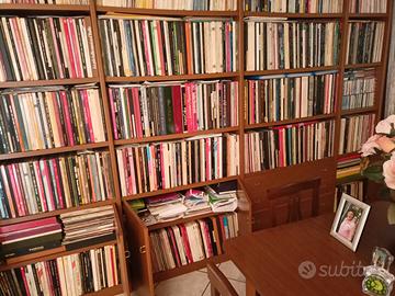  collezione dischi in vinile solo per amatori