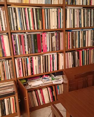  collezione dischi in vinile solo per amatori