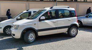 Panda climbing 4x4 2011