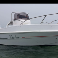 Bluline 19 con honda 40/60 senza patente