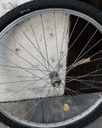Ruota da 26 per bicicletta MTB