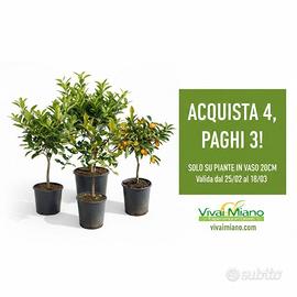 Acquista 3 piante di Agrumi, prendi la 4° gratis