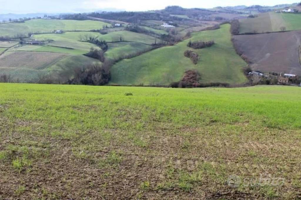 Immobile in asta di 43309 m² a Meldola - Vista 5
