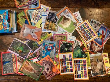 Carte Amici Cucciolotti 2024 Pizzardi